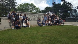 Hallym Polytechnic University 2017      